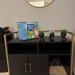 Modern Black & Gold Storage Cabinet / Console Table — $85 OBO