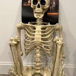 5FT 💀Life Size Halloween Skeleton 
