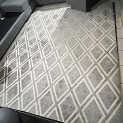 Living Room Rugs Both 