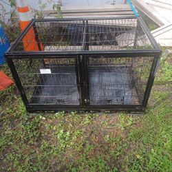 5 dog cages for sale.      $50 A Piece 