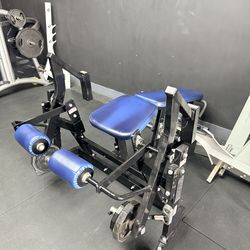 Hammer Strength leg curl