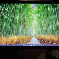 BenQ XL2411Z 144 Hz Gaming Monitor 