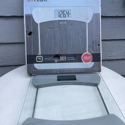 TAYLOR GLASS DIGITAL SCALE