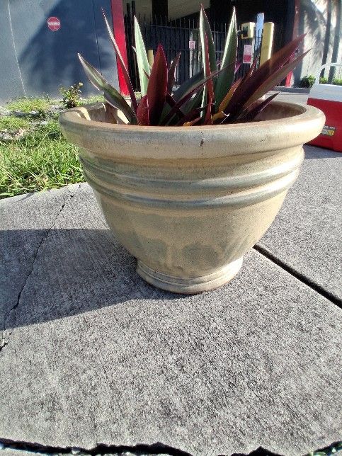 NEW, FIRE GLAZED TERRA COTTA PLANTER, WITH ROCKS, SOILD, AND NICE PLANT, PLANTER HAS ONE SMALL CHIP IN THE BOTTOM, PRICE REDUCED