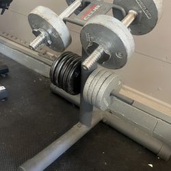 1 Inch Standard Dumbbell Weight Set With Stand