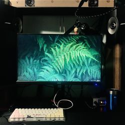 240hz Acer Gaming Monitor 24.5” FHD, FreeSync, Ultra Smooth