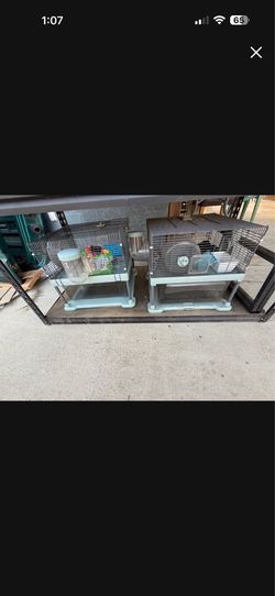 Hamster cage
