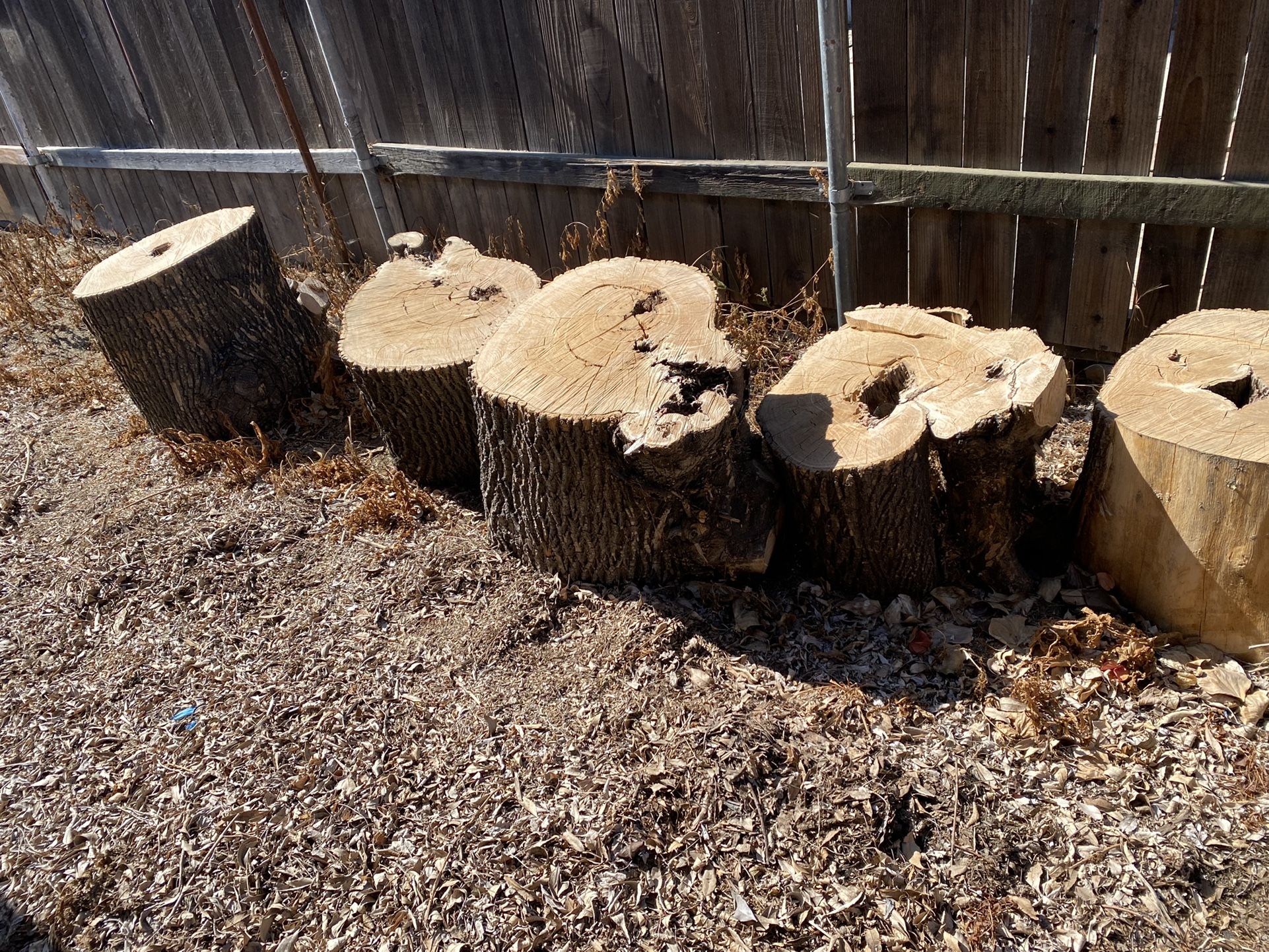 Firewood five bucks