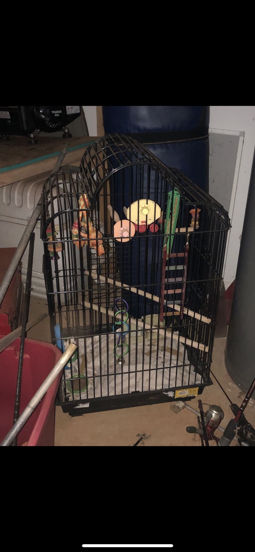 Bird Cage