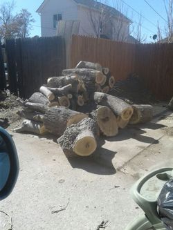 Free firewood