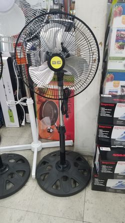 Fan
