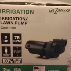 Zoeller Irrigation Pump Lawn Pump Cast Iron 2 Hp