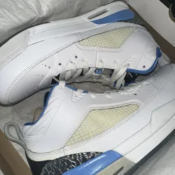 Jordan flight size 11