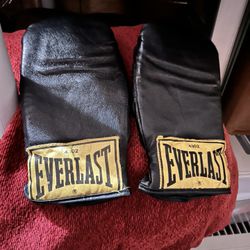 Everlast Boxing Gloves