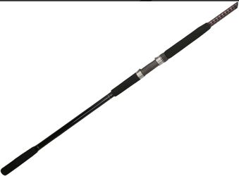 Ugly Stik Bigwater USBWBSF2040C122 Conventional Rod