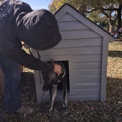 Dog House With Rolling DOG Door