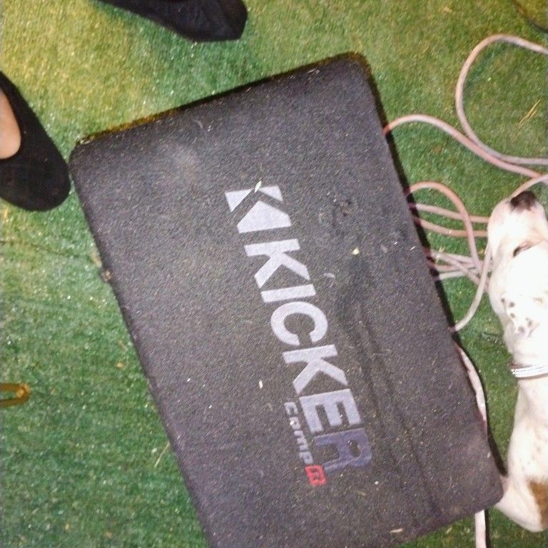 subwoofer