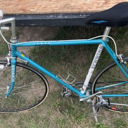 Schwinn Tempo Road Bike