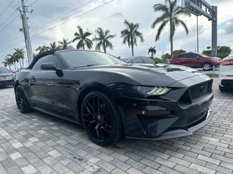 2019 Ford Mustang