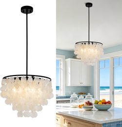 New 17.7" Coastal Capiz Shell Chandelier,4-Light Seashell Light Fixtures Pendant Dimmable Adjustable