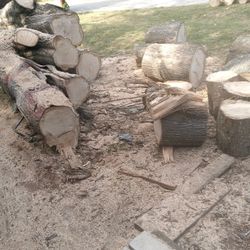 Oak Firewood  $30 Truck Load You Pickup