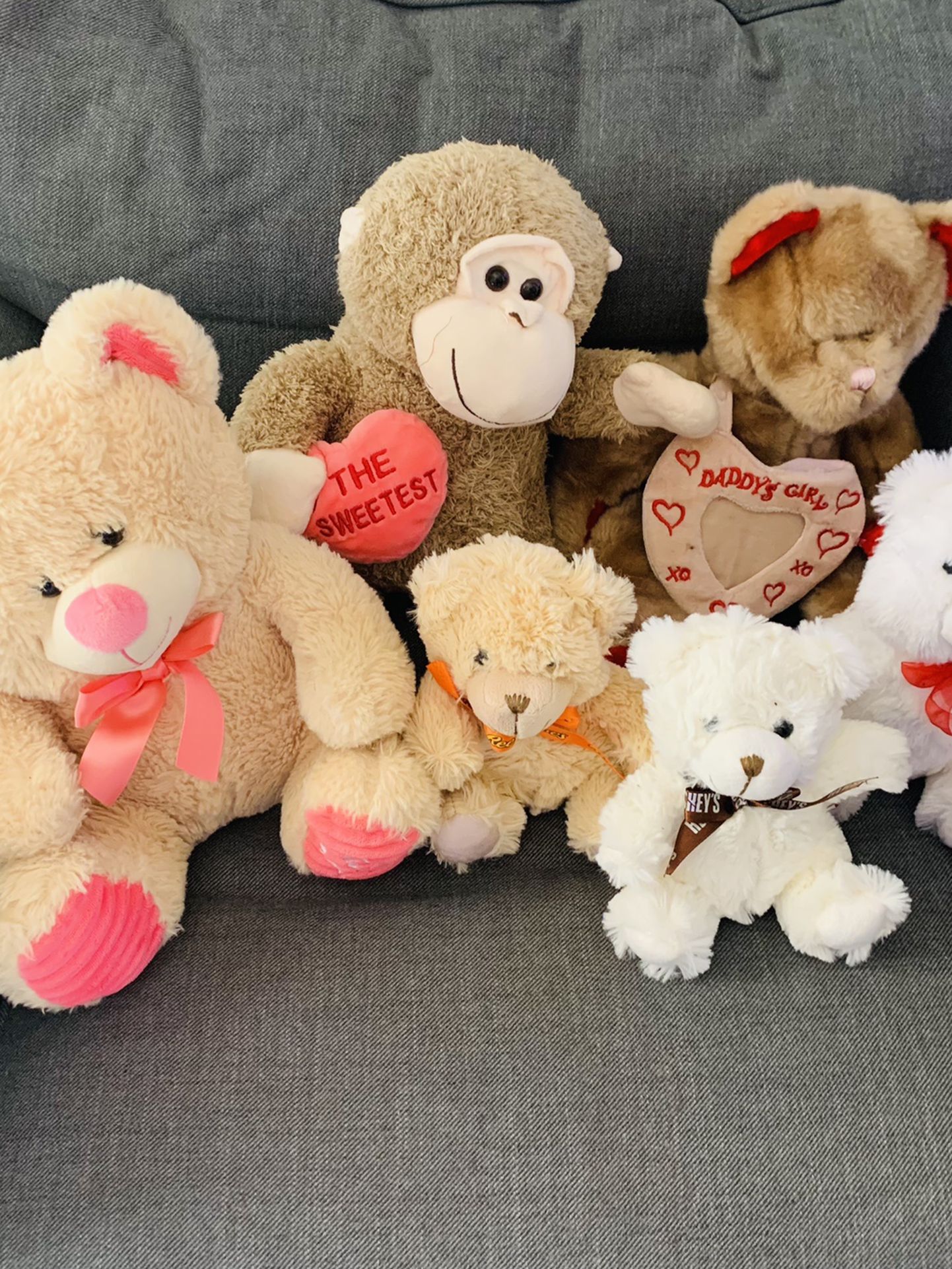 Valentines Teddy bears