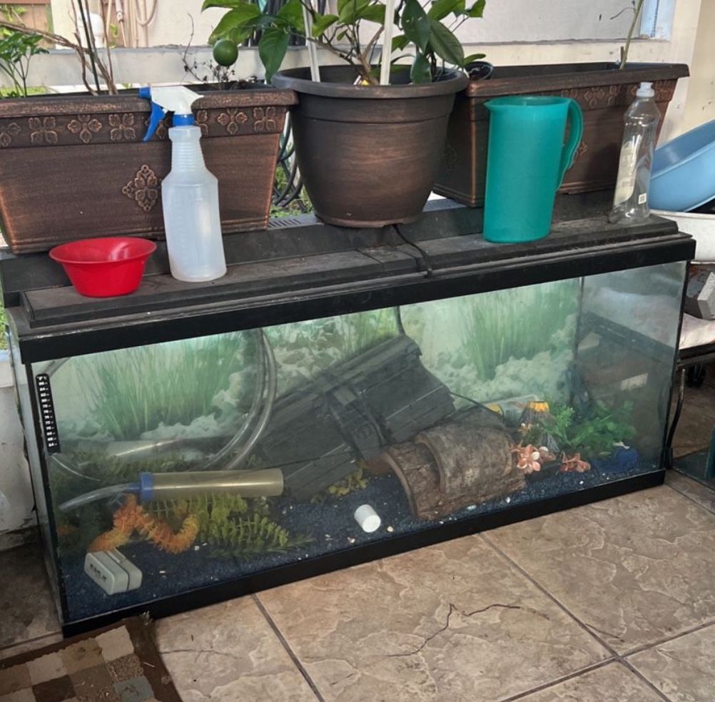 75 GALLON TANK AQUARIUM: HOLDS WATER NO CRACKS OR LEAKS