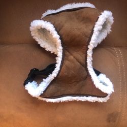 Dog Harness