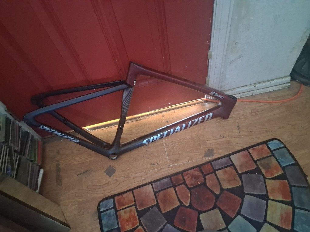 Specialized Frame
