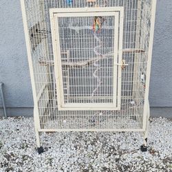 Bird Cage