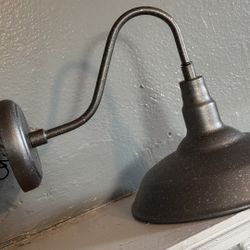Gooseneck Barn Light - Int/Ext LED Wall Fixture
