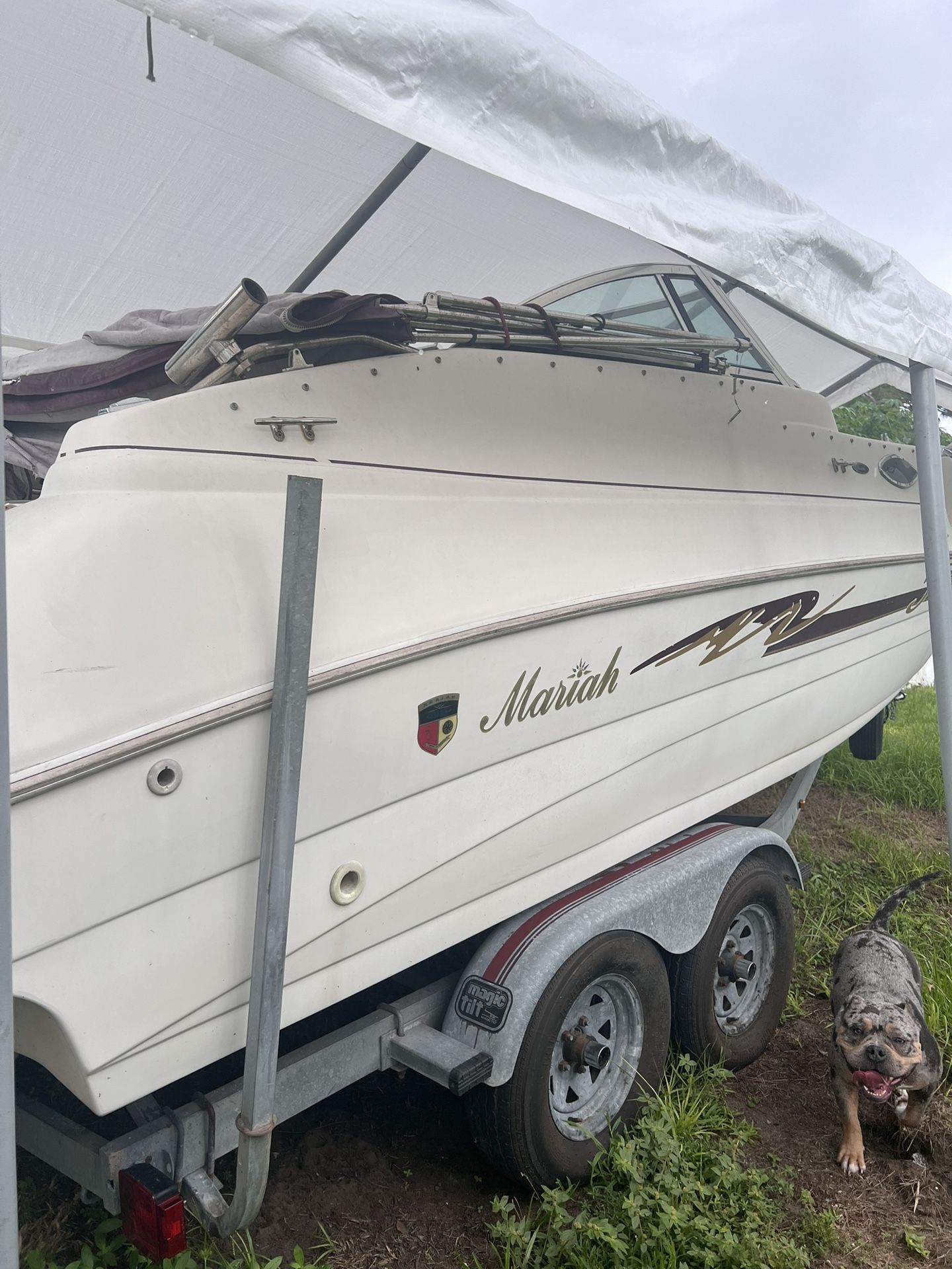 Deck Boat