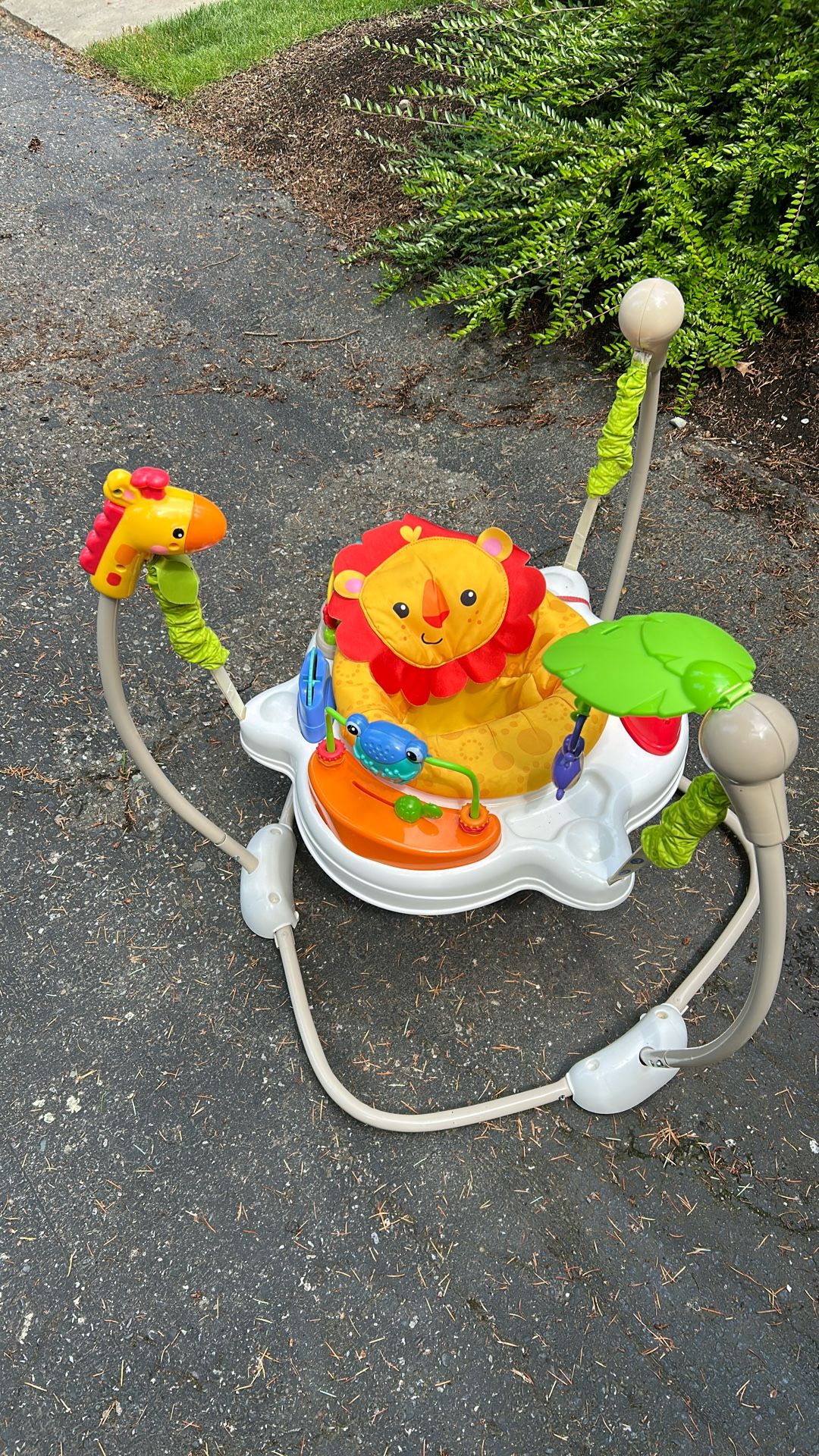 Fisher Price Lion Bouncer
