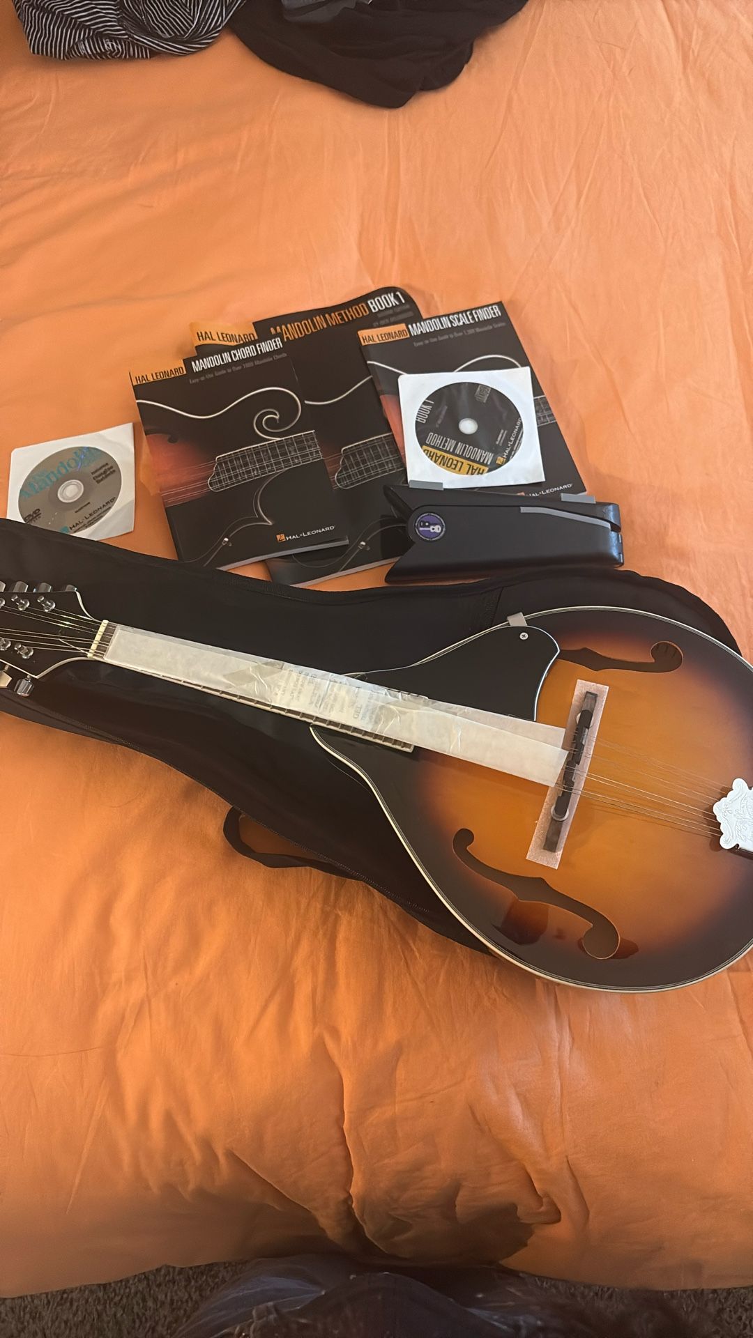 Mandolin Instrument