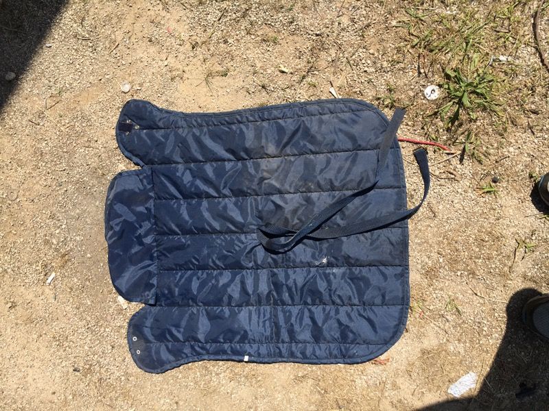 Miniature horse or large dog blanket