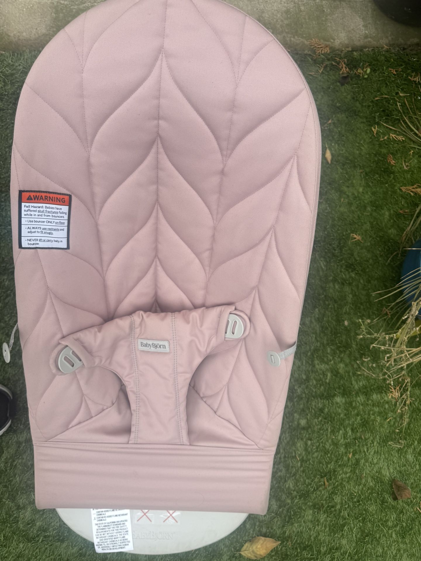 BabyBjörn Baby Bouncer