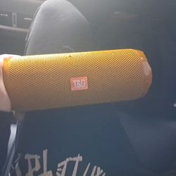 T&g Speaker
