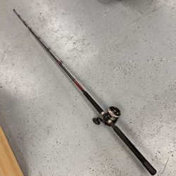 Penn Defiance Fishing Rod & Reel Combo 40LW Level Wind Saltwater Reel with DFNBT3050C66 6’6” Rod TPW014970