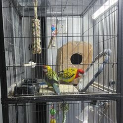 Double Stake Bird Cage 