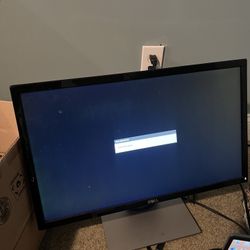 20in Dell Monitor