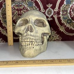 Vintage Skull Bank
