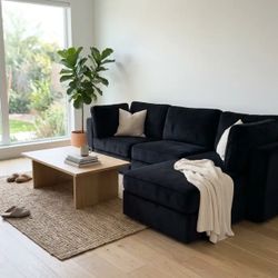 Free Delivery - Lovesac Sactional Couch 