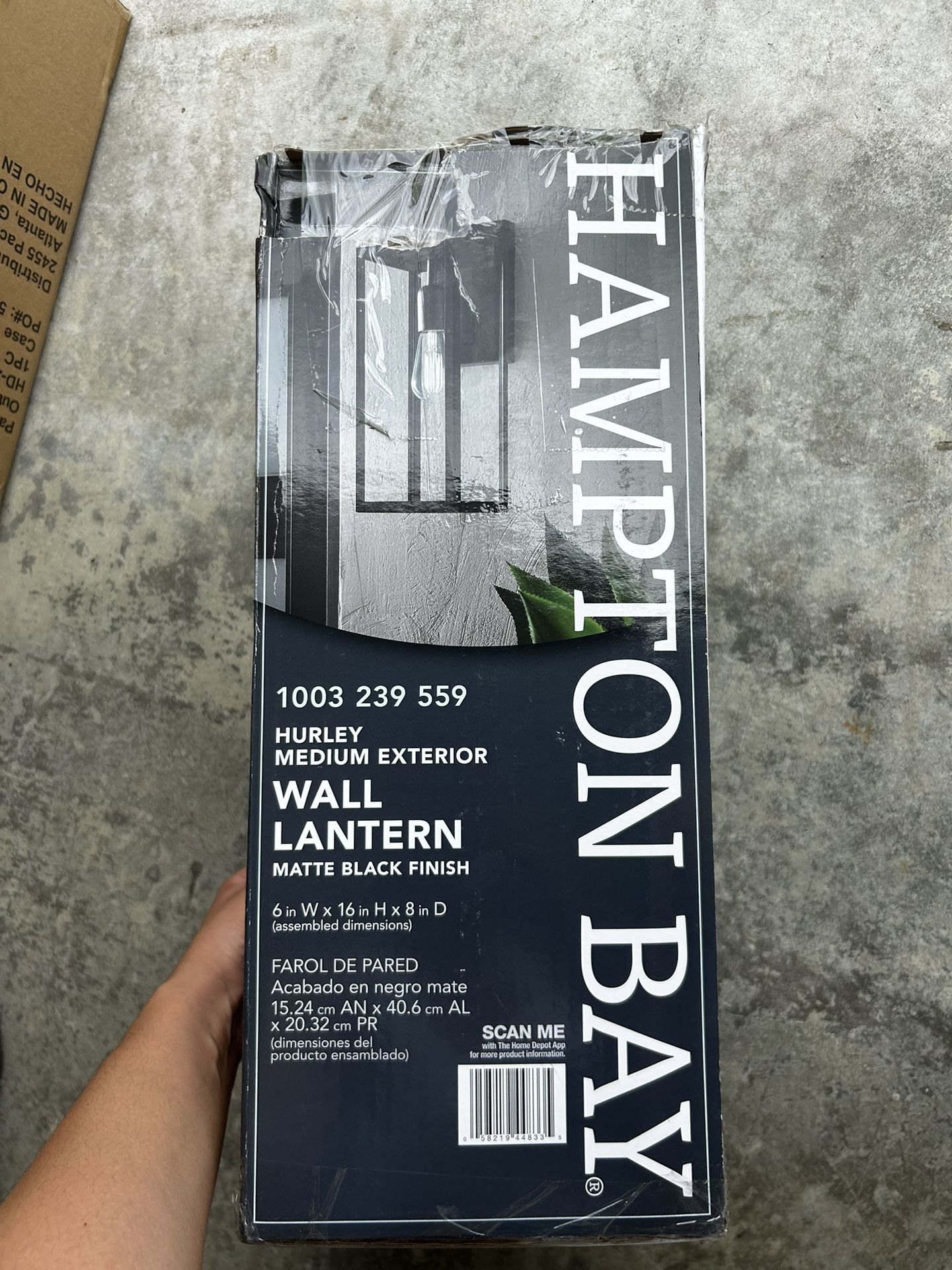 Wall Lantern