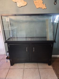 Fish reptile tank