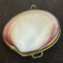 Genuine Clamshell With Brass Clasp Trinket Box