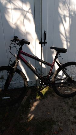 26 inch roadmaster