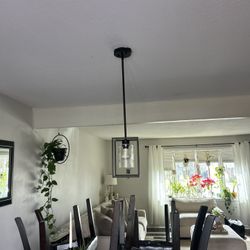 hanging  light fixture 