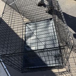 Dog Cage 