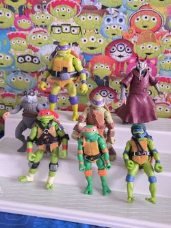 Turtle lot