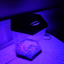 Small Hexagon Aquarium,  LED many color changing on Auto mode. 2 Gallons Capacity 